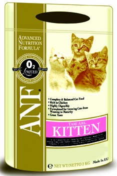 ANF Kitten